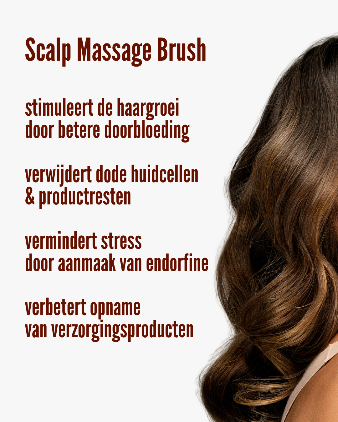Scalp Massage Brush